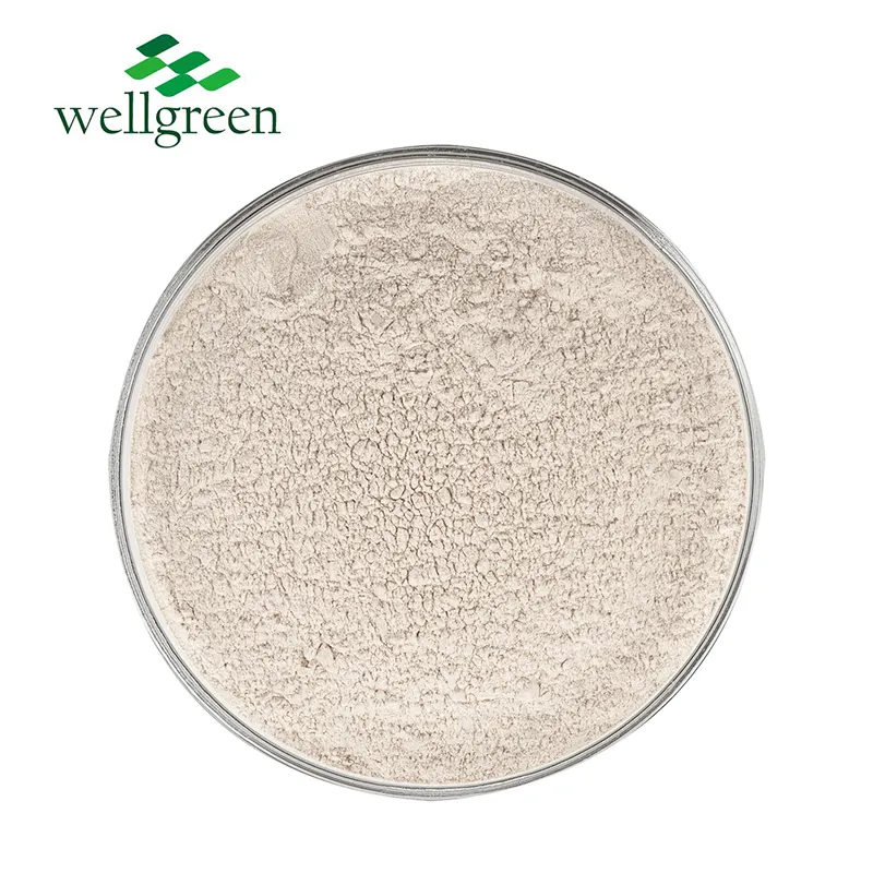 Precio de fabricante, polvo de sandía hidrolizada, pureza 60% 80%, proteína de semilla de sandía personalizada