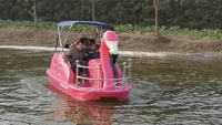 Bateau à pédales pour parc aquatique, bateaux à pédales en PE, bateau à pédales cygne flamant rose