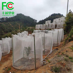 Sacchetti di rete per la copertura dell'albero da frutto del frutteto sacchetti di rete anti-insetti anti-mosche anti-uccello - Product Image 4