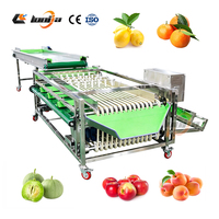 Trieuse de légumes en silicone de qualité alimentaire, trieuse de pommes de terre, machine de tri des olives, équipement de calibrage des pommes de terre