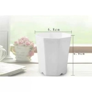 Pots de plantes succulentes modernes et écologiques en plastique Livraison gratuite Plantes vertes Petites plantes succulentes en pot <span class=keywords><strong>Cadeaux</strong></span> pour la maternelle - Product Image 4