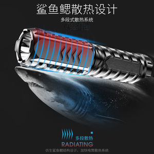 ไฟฉายแบบชาร์จไฟได้ 5W LED อลูมิเนียมอัลลอยด์ ปรับความสว่างได้ ไฟพกพาสำหรับตั้งแคมป์กลางแจ้ง - Product Image 4