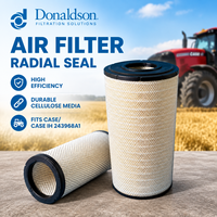 Filtre à air de haute qualité pour machines agricoles P548900 P548901 P546614 243968A1 pour tracteurs et moissonneuses-batteuses Case IH