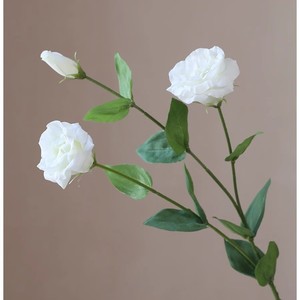 Platycodon a granel de flores artificiales de seda para decoración de Bodas de sala de estar de Hotel <span class=keywords><strong>Eustoma</strong></span> <span class=keywords><strong>Grandiflorum</strong></span> - Product Image 2