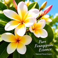 Huile parfumée liquide 100% pure, biologique et naturelle de Frangipanier Plumeria pour savons, bougies, massages, soins de la peau, parfums et arômes industriels