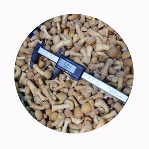 פטריות מיובשות הקפאה אורגני פטריות nameko מקוטשת קוביות קוביות בלוק טרי שלם טרי ללא מלח הוסיף מלח-סיטונאי זמין - Product Image 2