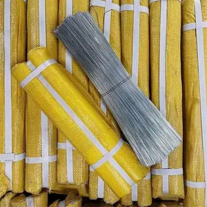 International verzinkter Anti-Rost-Draht heißgefütterter verzinkter Kunststoff-Filament abgeschnittener Draht Bau Bindungs-Eisendraht