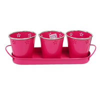 Ensemble de pots à plantes succulentes en métal galvanisé avec plateau de drainage, pot de fleurs d'intérieur pour fenêtre de cuisine, décoration de jardin à domicile