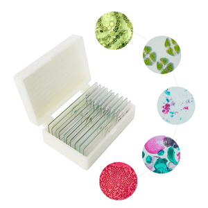 Lames de microscope cellulaire d'algues FRT3002 <span class=keywords><strong>Lichen</strong></span> Thallus Anabaena Biologie Enseignement Recherche Algues 10 articles Lames Botanique Verre - Product Image 5