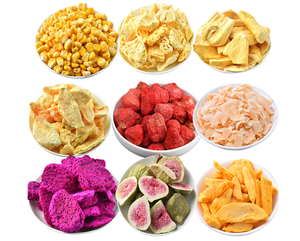 Industriële lyofilisator vriesdroger voor fruit geitenmelk vriesgedroogd fruitmachine - Product Image 5