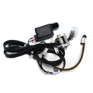 Professional Cable Manufacturer Automotive Door Locking Device Cable Assembly Door Closer-holder Complex Wire Harness