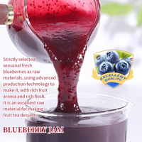 Fabricant de sirop concentré de purée de confiture de fruits aux bleuets sirop de cône de neige pour jus de smoothie ingrédients de thé