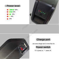 Batterie lithium-ion Hailong 48V 15Ah 17.5Ah pour vélo électrique DUOTTS C29 Ouxi V20 Pro QM Wheel Fatbike