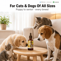 Gouttes Probiotiques pour Chats - Santé Digestive et Immunitaire - Supplément Liquide FOS pour Animaux de Compagnie - Bouteilles pour Chiots, Chatons, Toutes Races et Tailles - 60ml