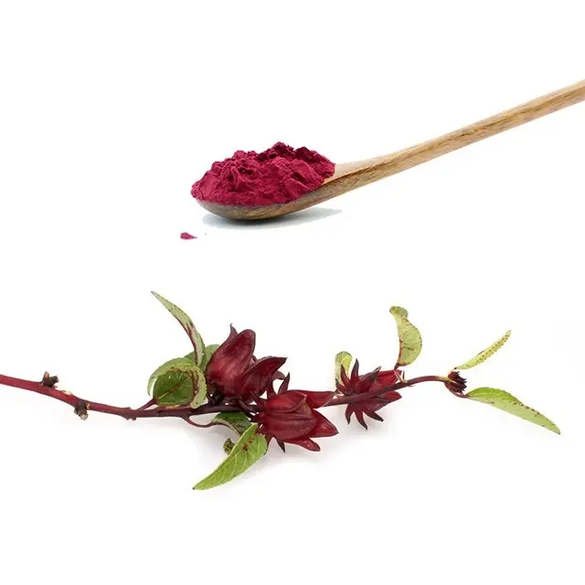 Best seller naturale essiccato ibisco naturale Roselle fiore estratto di pianta in polvere