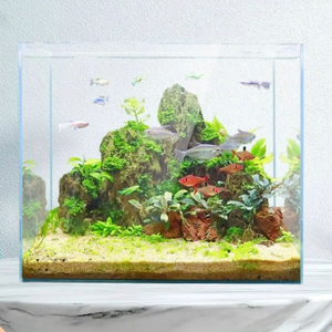 초백색 직사각형 유리 데스크탑 수족관 고선명 친환경 50L 소형 에코탱크 베타 물고기 금붕어 거북이 - Product Image 2