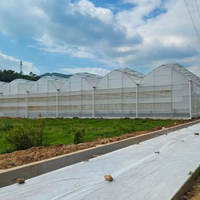 Serre agricole en film plastique pour tomates, modèle tête de vache espagnole, avec structure métallique, pour horticulture tropicale, prix