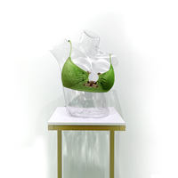 Mannequin féminin transparent en plastique PC, demi-corps, modèle de hanche pour soutien-gorge, maillot de bain, sous-vêtements, accessoire de photographie 3D, modèle à découpes creuses