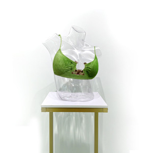 Mannequin féminin transparent en plastique PC, demi-corps, modè<span class=keywords><strong>le</strong></span> de hanche pour soutien-gorge, maillot de bain, sous-vêtements, accessoire de photographie <span class=keywords><strong>3D</strong></span>, modè<span class=keywords><strong>le</strong></span> à découpes creuses - Product Image 4