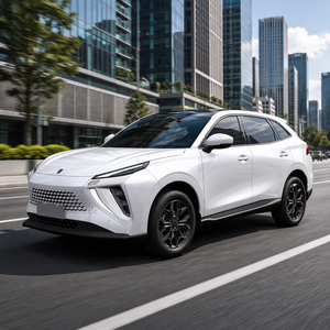 Agent recherché pour Dongfeng Forthing Friday EV SUV, véhicule électrique compact 5 places, SUV électrique nouvelle énergie, prévente de SUV électrique - Product Image 1