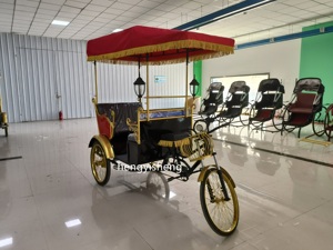 Triciclo Eléctrico Personalizado OEM, Bicicleta de Carga de Tres Ruedas, Triciclo para Pasajeros Adultos - Product Image 2