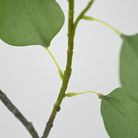 Plantes artificielles en gros : Branches d'eucalyptus artificielles de 105 cm pour la décoration de porches, jardins, arches de mariage et projets d'artisanat