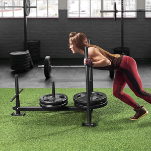 <span class=keywords><strong>Trineo</strong></span> de Fitness Desmontable con Placas de 2 Pulgadas, <span class=keywords><strong>Trineo</strong></span> de Arrastre Compacto para <span class=keywords><strong>CrossFit</strong></span> y Gimnasio en Casa - Product Image 6