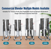 Commerciële fruit- en groenteblander 45L grote capaciteit sapcentrifuge en -pers voor spinazie, wortel, gember, 3000W hoge snelheid blender