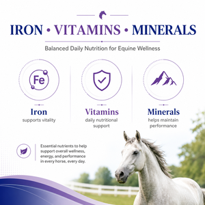 Suplemento Líquido de Vitaminas, Hierro y Minerales para la Salud Equina de Marca Privada, Ayuda a Completar Deficiencias Nutricionales Importantes - Product Image 4
