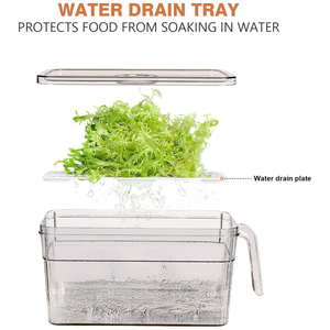Transparent Eco-Friendly PET Plastic Fridge <b>Storage</b> Containers with Freshness Preservation and Handle for Kitchen Organization - Product Image 4