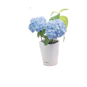 LEIZISURE macetas Self Watering Flower Pot Garden Plastic Nursery Pots For Succulent garden plant pots indoor Home Decor