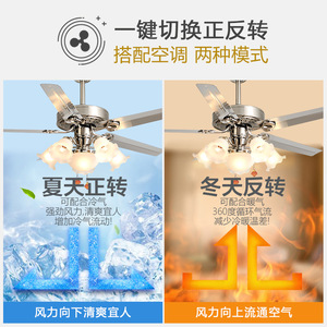 European Style Ceiling Fan Light With Led Bulbs For Living Room And Study 220V Fixed Blade Fan Light Glass Lampshade - Product Image 5
