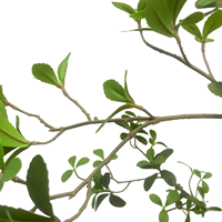CHUANGFA 190cm Haie artificielle en plastique de haute qualité, style hawthorn de Hong Kong – Décorations murales réalistes pour Thanksgiving