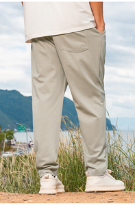 Pantalones de pierna recta drapeados planos con cremallera ligera de verano <span class=keywords><strong>para</strong></span> hombres 2025 nuevo viajero suelto <span class=keywords><strong>Color</strong></span> sólido estambre - Product Image 2