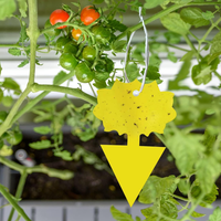 Attrape-insectes efficace non toxique jaune collant colle forte mouche des fruits et piège à guêpes moucheron pour une utilisation dans le jardin