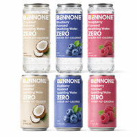 Eau gazeuse aux myrtilles sauvages BENNONE, sans sucre ajouté, antioxydante, boisson fruitée pétillante, 300 ml, canette individuelle, OEM ODM