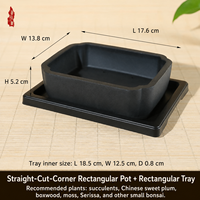 Pot Bunga Resin Gaya Cina Kreatif Bentuk Persegi untuk Anggrek, Sukulen & Kaktus dengan Desain Pengatur Akar untuk Balkon dan Meja