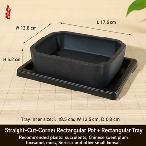 Kare Yaratıcı Çin Tarzı Reçine Saksı, Balkon ve Masa Üstü için Kök Kontrol Tasarımlı Orkide, Sukulent ve Kaktüs İçin - Product Image 4