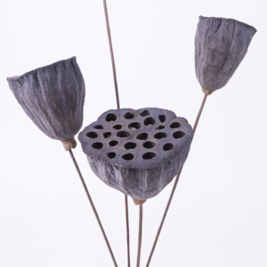 Échantillons gratuits <span class=keywords><strong>d</strong></span>écoration de mariage fleur de fée créative fleur séchée Nelumbo nucifera <span class=keywords><strong>d</strong></span>écoration de mariage fleurs - Product Image 4