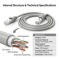 Câble Patch RJ45 Professionnel Personnalisé Cat5 Cat5e 5m 16FT CCA Anti-Emmêlement UTP FTP SFTP pour Installation CCTV DVR