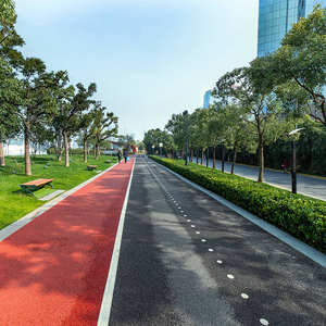 Asfalto modificado del asfalto del pavimento coloreado del betún/de la decoloración para la construcción de carreteras - Product Image 4