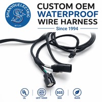 Kabel Harness Speaker Belakang Anti Air Terjalin, Kabel Harness Listrik Mobil, Perakitan Kabel Harness OEM, Kabel Harness Kustom