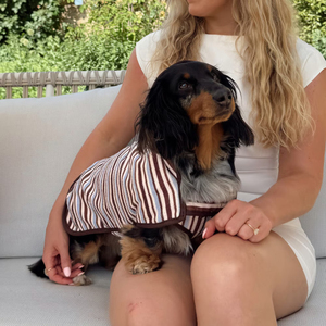 Albornoz Superabsorbente para Mascotas VPETBR, Toallas de Felpa de Coral Ecológicas de Lujo, Albornoz para <span class=keywords><strong>Perros</strong></span> Dachshund para Secar a los <span class=keywords><strong>Perros</strong></span> - Product Image 3