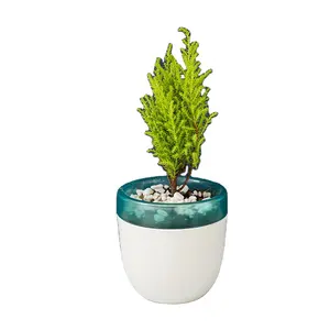 RUIPU SAN/PP material nordic stype plastic flower pot plant white self watering