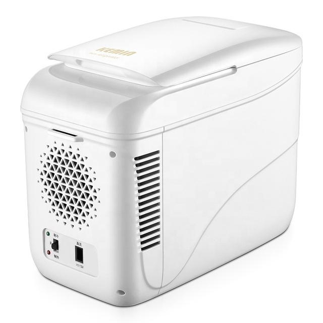 Car Refrigerator Mini Fridge 9l Travel with No Compressor Car Refrigerator 110v 12v Portable