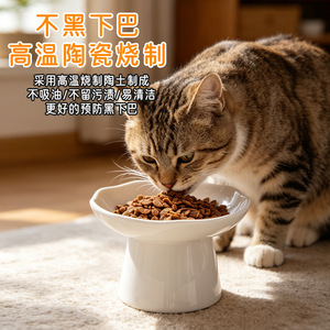 Bol en céramique pour chat, 6 pouces, extra large, à bouche peu profonde, design surélevé pour chats - Product Image 3