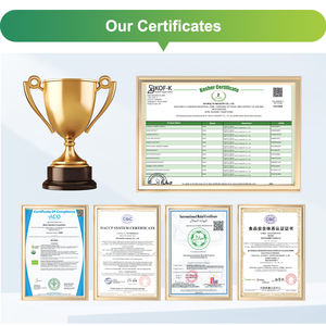 Sıcak Saf Gıda Sınıfı Standartlaştırılmış Çinli Yaşlı Kokusuz Sarımsak Ekstresi Tozu %1 %5 Allicin Tozu - Product Image 3