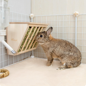 Comederos de Heno para Conejos de Madera al por Mayor para Reducir el Desperdicio, Comederos de Heno <span class=keywords><strong>Autoservicio</strong></span> para Animales Pequeños - Product Image 3