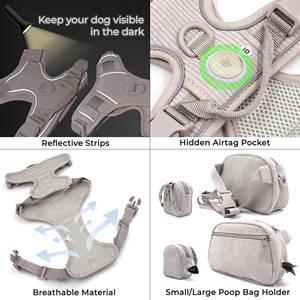 Juego sin tirones y correa personalizado | Juego de arnés grande | Arnés reflectante personalizado para perros | Verde Esmeralda - Product Image 4