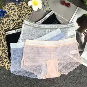 Womens Underwear Nylon Panties for Ladies Female Women Granny